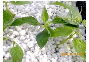 園藝珍珠巖特點(diǎn)優(yōu)點(diǎn)以及應(yīng)用范圍